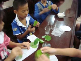 2012云南生态学会夏令营活动-19